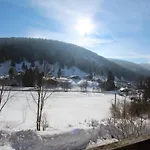 Le Grand Cerf En Rondins Avec Jacuzzi Alpehytte La Bresse